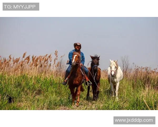 攀岩爱好者必看陈军分享独特攀岩技巧与心得体会