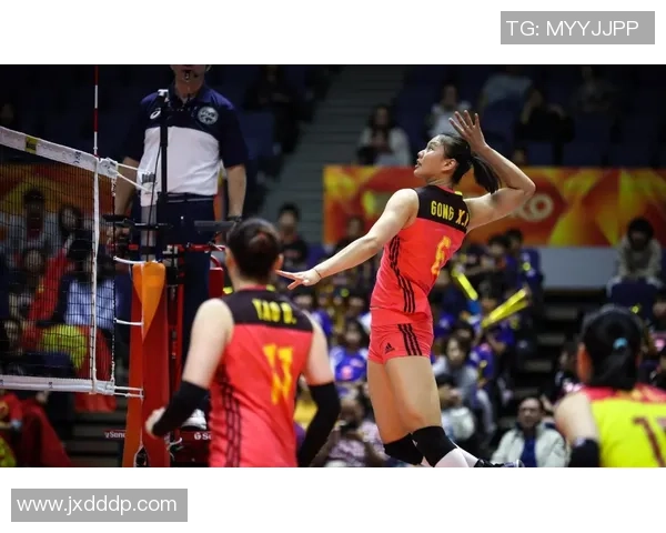 深度对话黄强探讨篮球人生的起伏与梦想追逐 深度对话黄强探讨篮球人生的起伏与梦想追逐