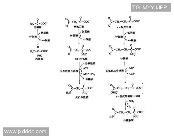 独家深度解析LNG耐力对比及其市场影响因素分析