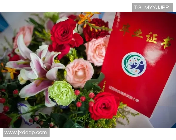 与杨娜畅谈篮球生涯的点滴与成长之路 与杨娜畅谈篮球生涯的点滴与成长之路